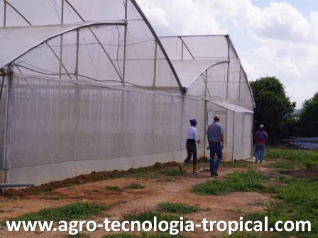 la visita de asistencia tecnica puede detectarla mejor forma de resolver los problemas de nematodos